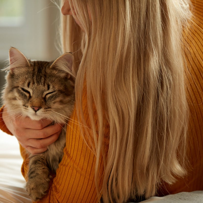 Random Cat